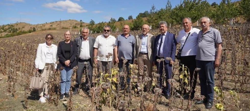 CHP HAVZA İLÇE BAŞKANI ŞENER GEÇİT: “SAHA ÇALIŞMALARIMIZ KARARLILIKLA DEVAM EDİYOR” - GÜNDEM - İnternetin Ajansı